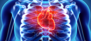 New Data in HFpEF