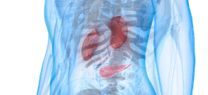Renal Protection in T2D