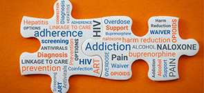 HCV Therapy for PWID