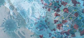 ProCE Banner Activity