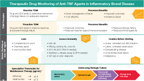 TDM in IBD Infographic
