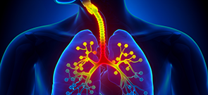 Biologics in Type 2 Asthma