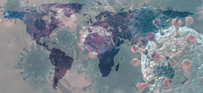 ProCE Banner Activity