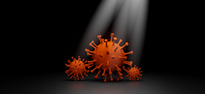 COVID-19 Monoclonal Antibodies