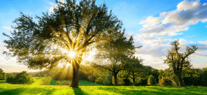 Unipolar and Bipolar Depression Differentiation