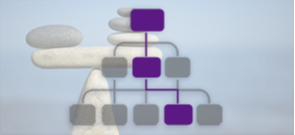 ProCE Banner Activity