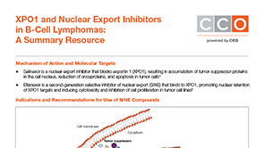 XPO1 Inhibitors for B-Cell Lymphomas