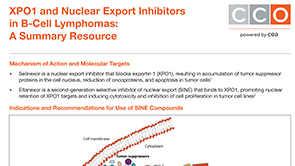XPO1 Inhibitors for B-Cell Lymphomas