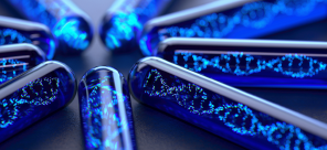 ProCE Banner Activity