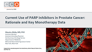 PARPi Monotherapy