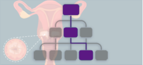 ProCE Banner Activity
