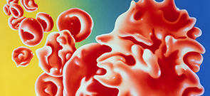 ProCE Banner Activity