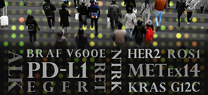 ProCE Banner Activity