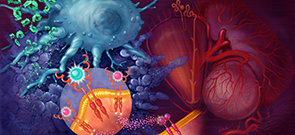 ProCE Banner Activity