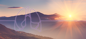 ProCE Banner Activity