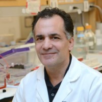 Joseph Scandura