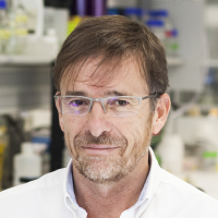 José R. Arribas