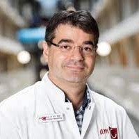 Arnon P. Kater