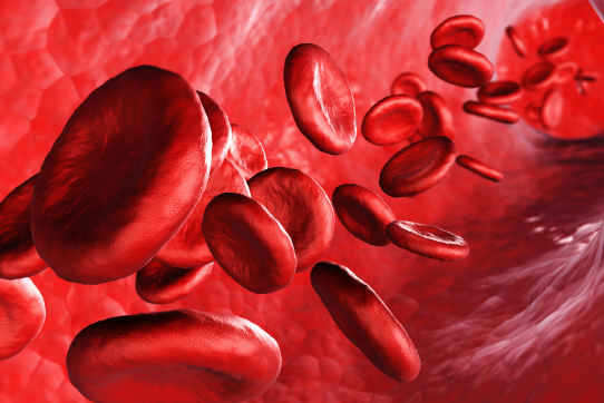 Weighing in on Optimal Management of VTE in Patients With Obesity