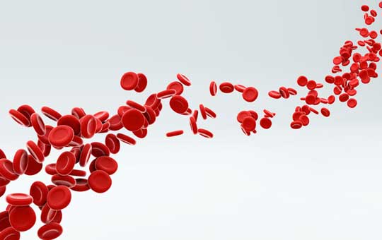 ProCE Banner Activity