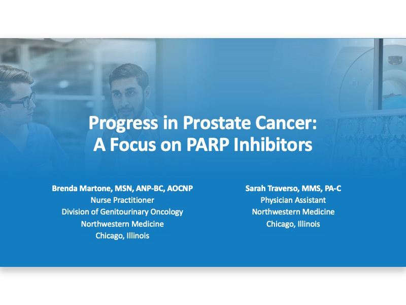 Focus on PARP Inhibitors