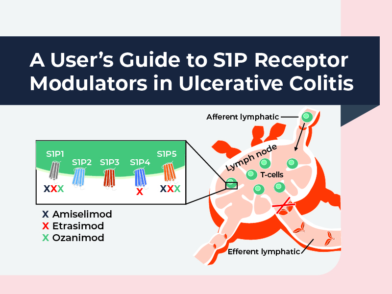 S1P Receptor Modulators