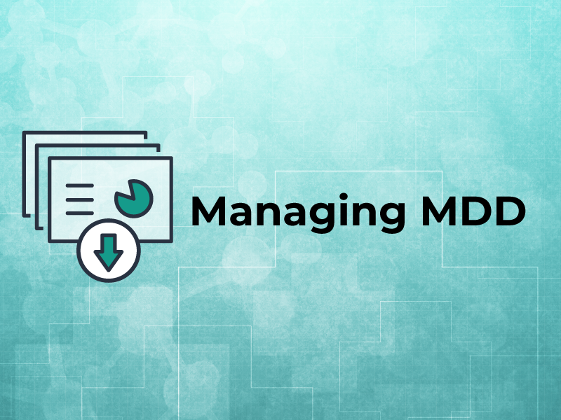 MDD Slideset