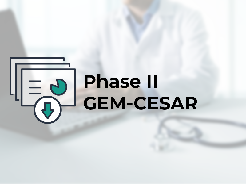 Phase II GEM-CESAR