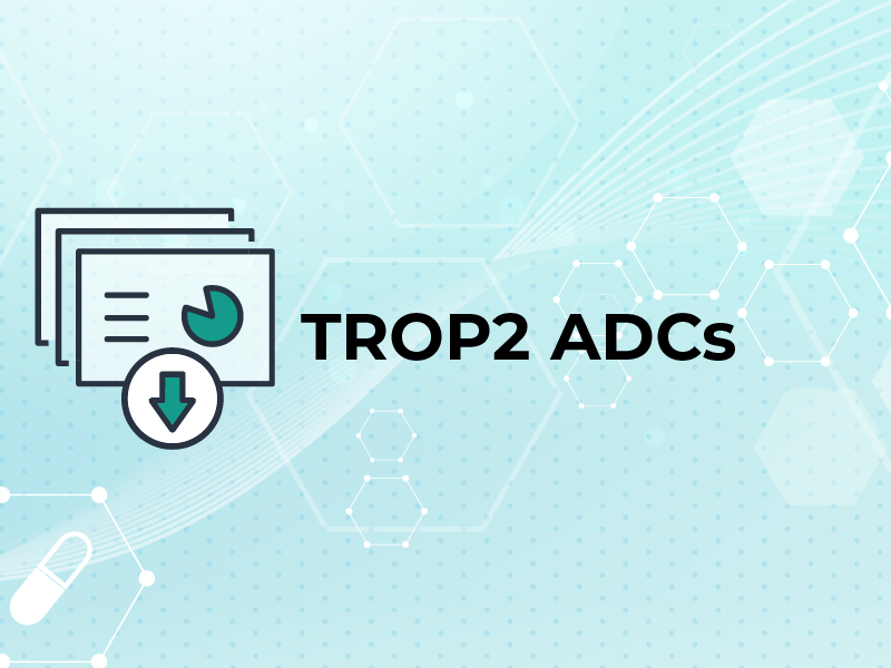 TROP2 ADCs