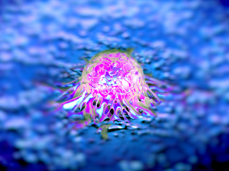 PARPi in Prostate Ca