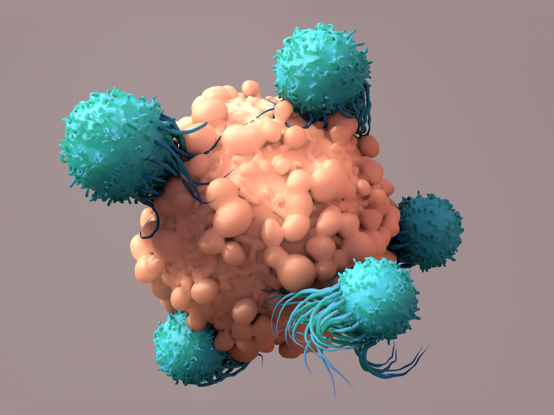 FAQs: CAR T-Cell Tx in Lymphomas