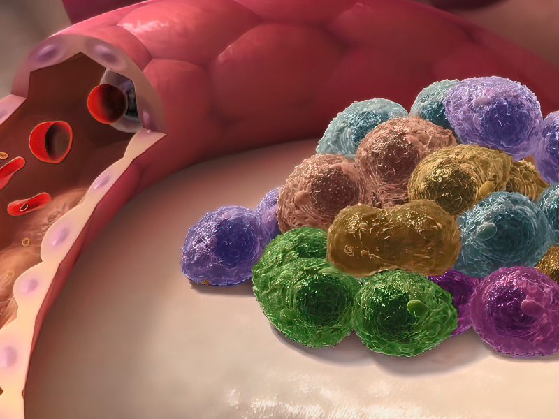 BCMA-Targeted Therapies in MM