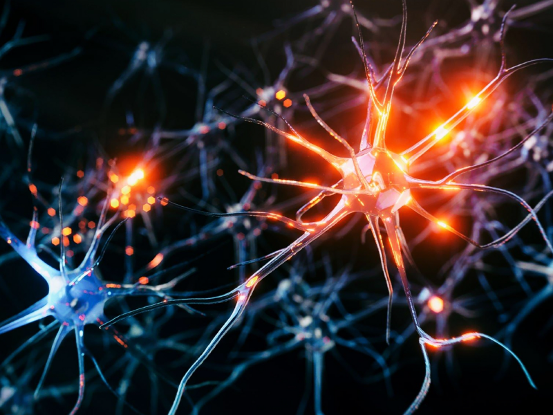 Brain Cholesterol in Neurological Disease Management