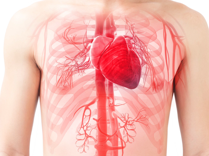 Evolving Treatment Choices and New Guidance