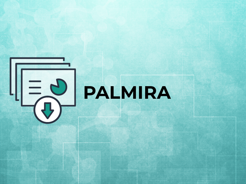PALMIRA