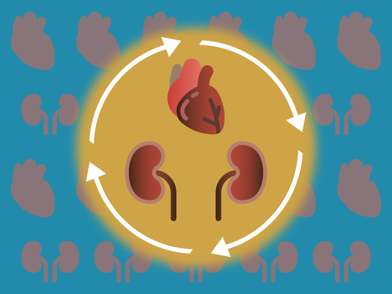 Addressing Residual Risk in Patients with Cardiac Disease, T2DM, and CKD