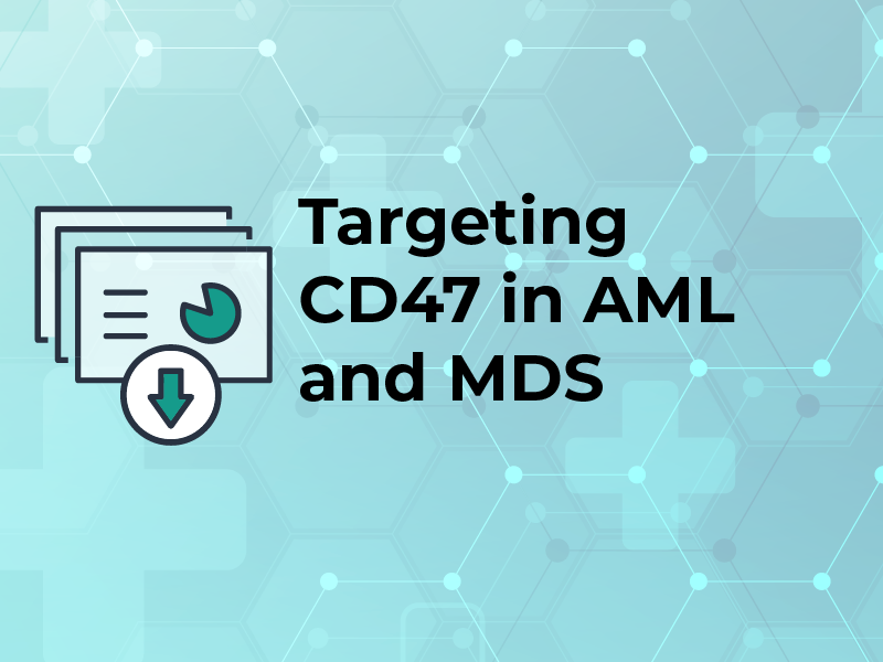 Targeting CD47 in AML and MDS