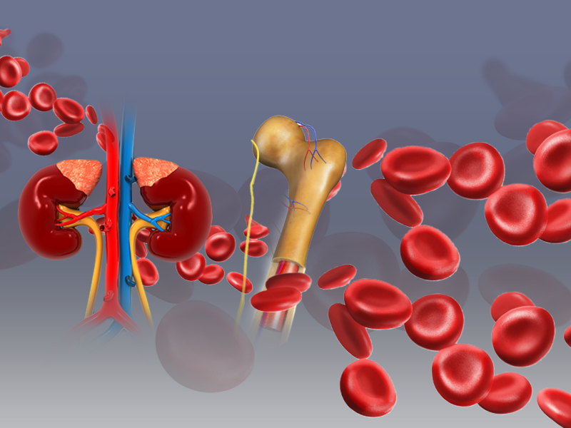 Current Management and Potential Role of HIF-PHIs