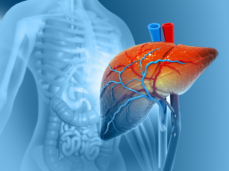 Topics in Hepatobiliary Cancer Treatment