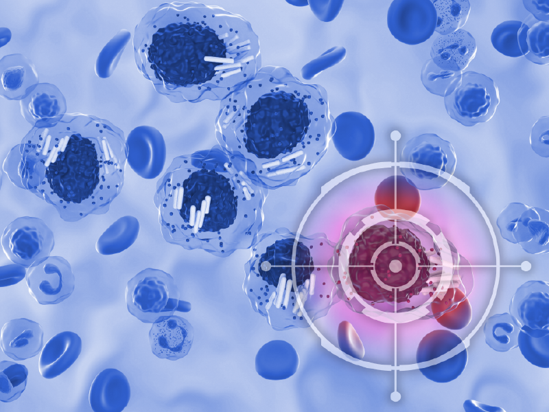 CLL Challenges