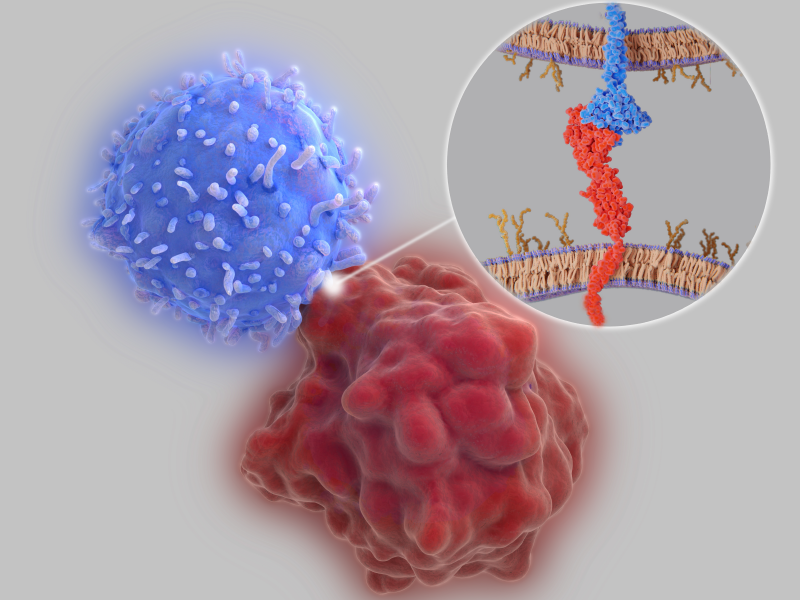 Inpatient and Outpatient Management of Immune-Related Adverse Events