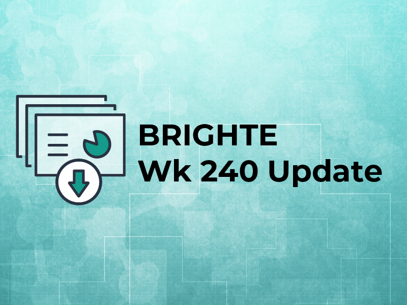 BRIGHTE Wk 240 Update