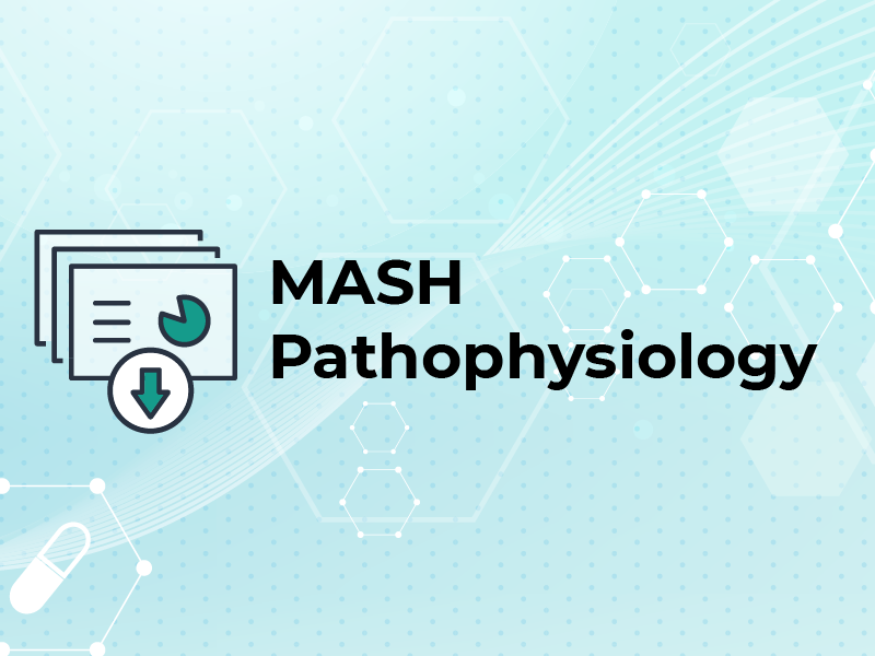 MASH Pathophysiology