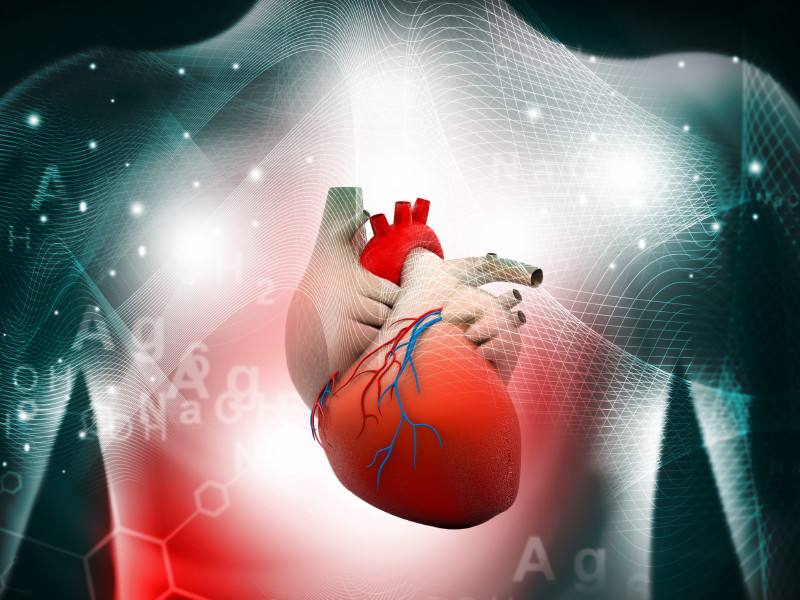 SGLT2i: Adverse Events