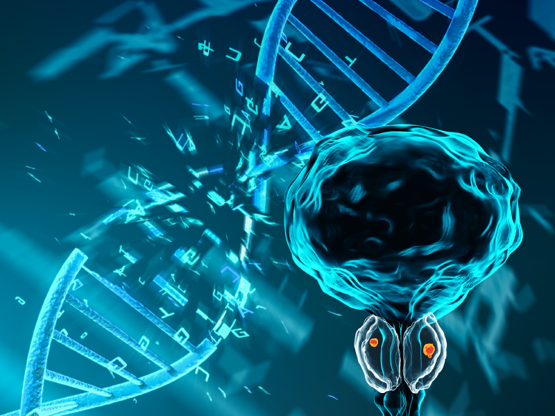 PARPi in Prostate Cancer