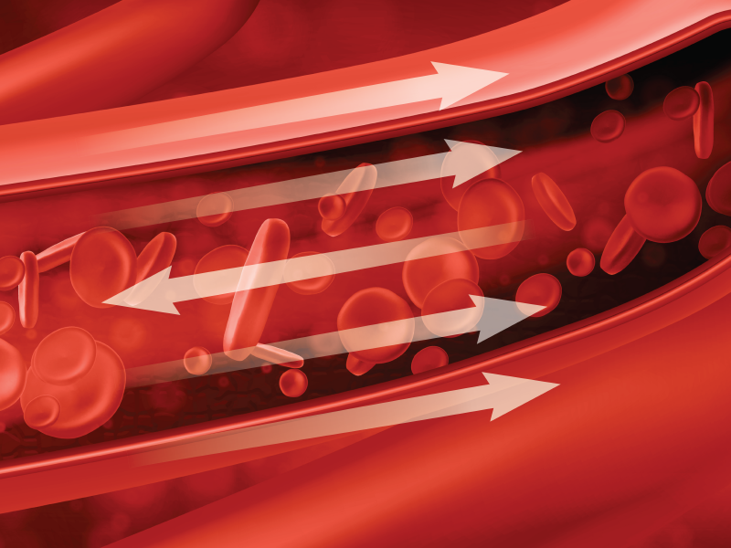ProCE Banner Activity