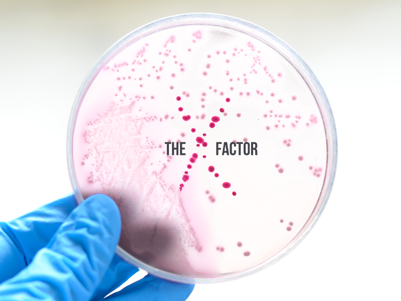 Video: Gram-Negative MDR Infections