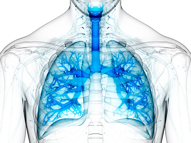 Phenotyping Patients With Severe Asthma: Check Those Biomarkers!