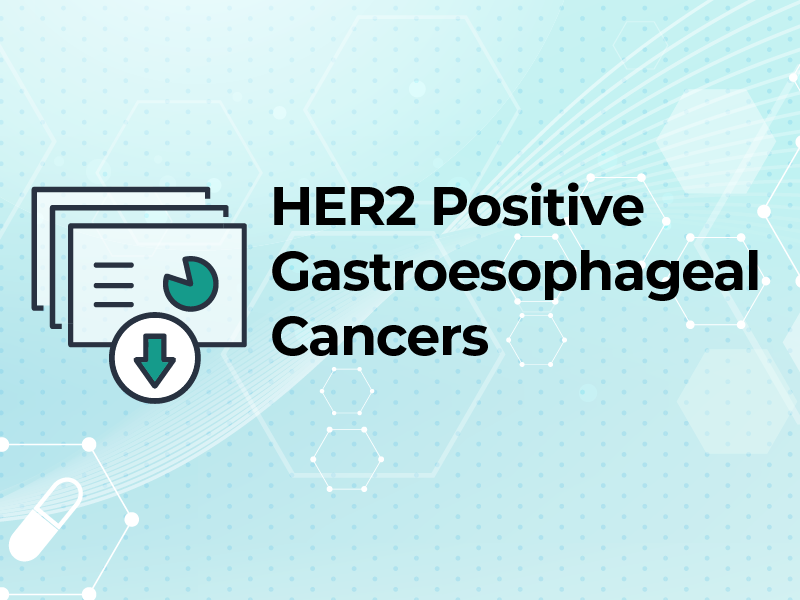 HER2 Positive Gastroesophageal Cancers