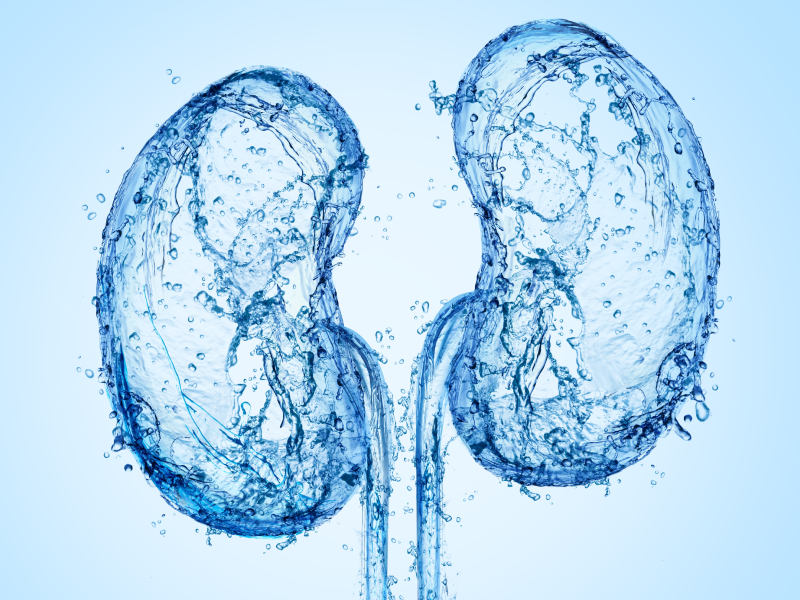 Phase III FLOW Trial Results Establishes Semaglutide’s Role in Treating T2D and CKD